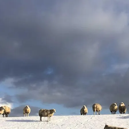 Apartment Tief 10 Seenebel Mit Internet 303