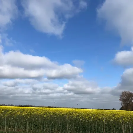 Tief 10 Seenebel Mit Internet 303 * Schillig