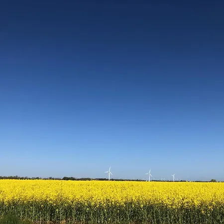 Apartment Tief 10 Seenebel Mit Internet 303 *