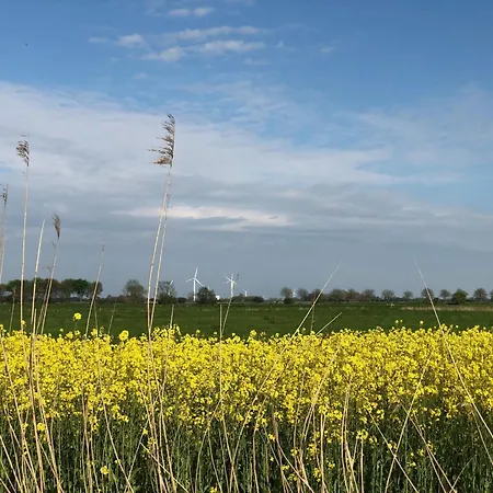 Tief 10 Seenebel Mit Internet 303 *