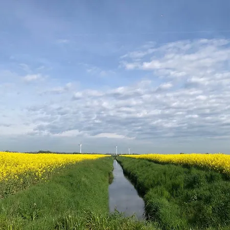 Tief 10 Seenebel Mit Internet 303 Schillig