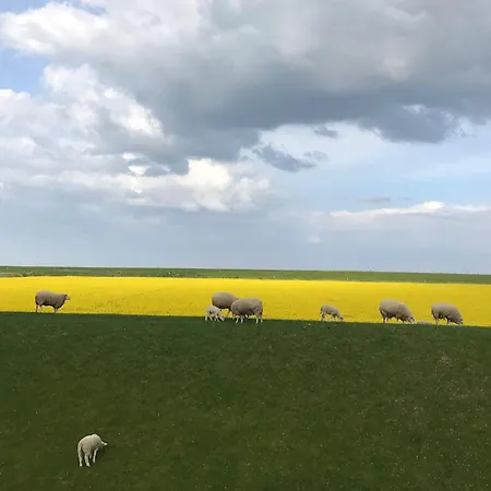 Apartment Tief 10 Seenebel Mit Internet 303 *