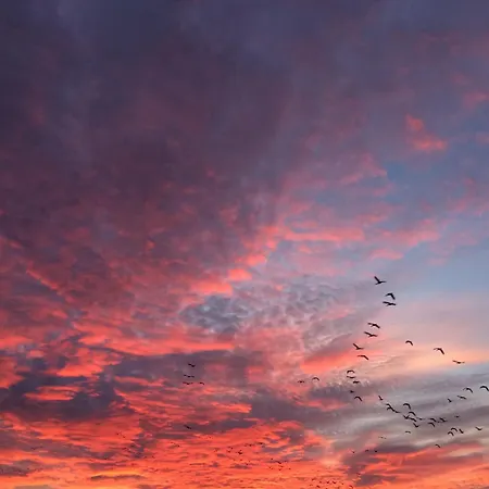 Tief 10 Seenebel Mit Internet 303