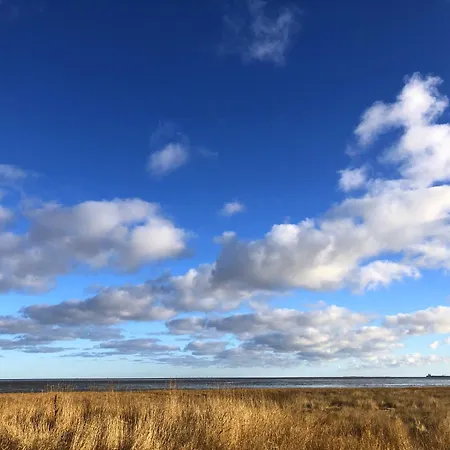 Apartment Tief 10 Seenebel Mit Internet 303