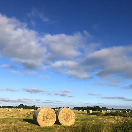 Tief 10 Seenebel Mit Internet 303 Schillig