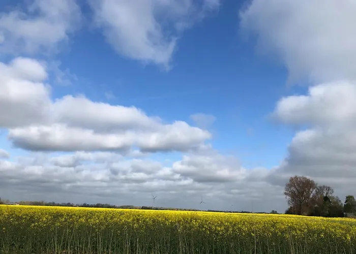 Tief 10 Seenebel Mit Internet 303 * Schillig