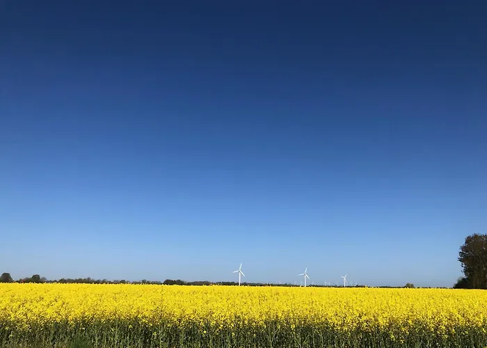 Daire Tief 10 Seenebel Mit Internet 303 *