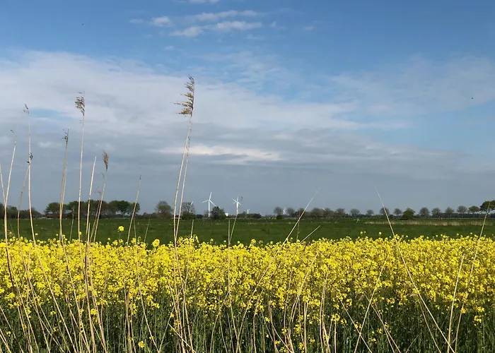 Tief 10 Seenebel Mit Internet 303 *