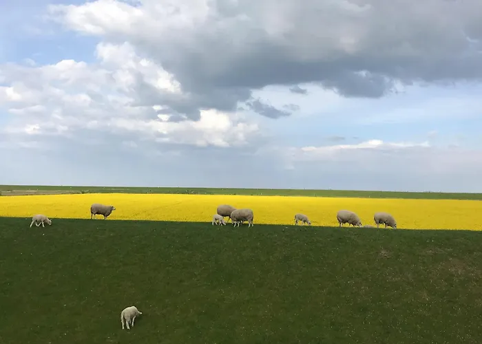 Daire Tief 10 Seenebel Mit Internet 303 *