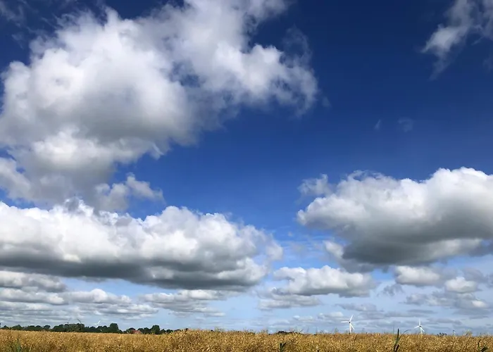 Tief 10 Seenebel Mit Internet 303 Daire