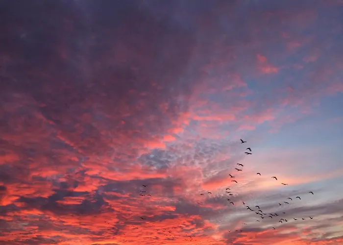 Tief 10 Seenebel Mit Internet 303