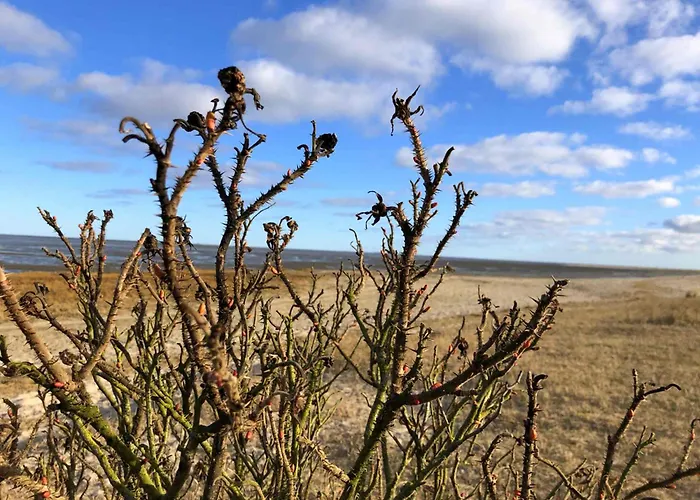 Tief 10 Seenebel Mit Internet 303 Daire