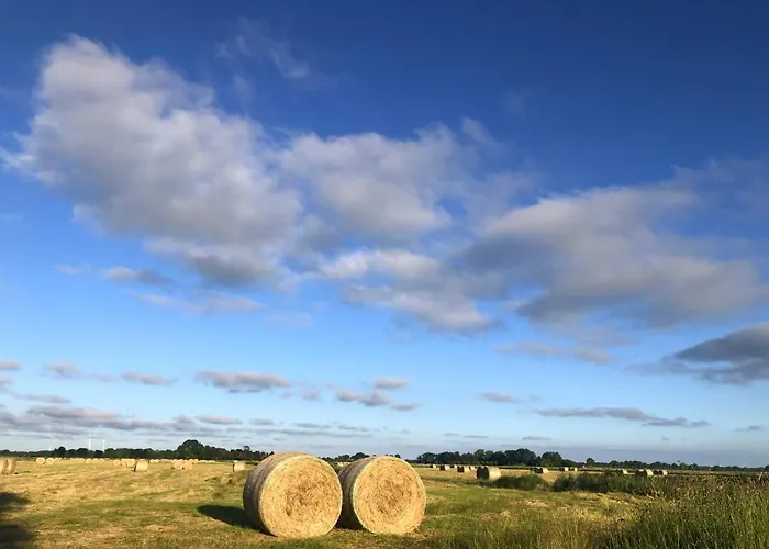 Tief 10 Seenebel Mit Internet 303 Schillig